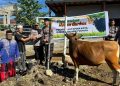Tali Asih Iduladha, Polresta Jayapura Kota Serahkan Hewan Kurban
