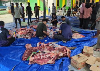 Kurban di Masjid Bersejarah Papua Perkuat Nilai Toleransi dan Kepedulian