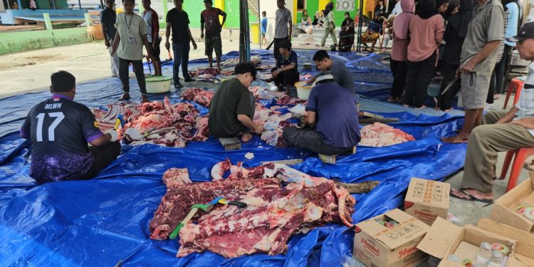 Kurban di Masjid Bersejarah Papua Perkuat Nilai Toleransi dan Kepedulian