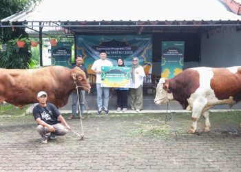 Telkomsel Tebar Hewan Kurban hingga Pelosok