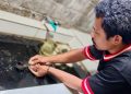 PLN UIP MPA Jaga Keseimbangan Ekosistem