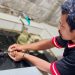PLN UIP MPA Jaga Keseimbangan Ekosistem