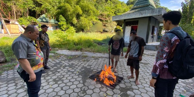 Pemusnahan 3 Kilogram Ganja Hasil Pengungkapan Kasus Lima Tersangka
