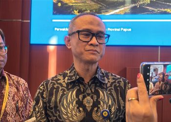DJP Perkuat Pengawasan Berbasis Risiko, Dongkrak Penerimaan Pajak di Papua