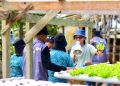 PLN Libatkan Warga Halmahera Selatan Studi Lapangan ke PLTP Lahendon