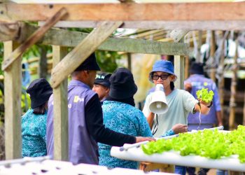 PLN Libatkan Warga Halmahera Selatan Studi Lapangan ke PLTP Lahendon