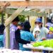 PLN Libatkan Warga Halmahera Selatan Studi Lapangan ke PLTP Lahendon