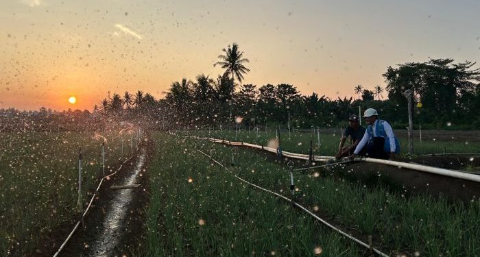 Tarif Listrik Triwulan III 2026 Tidak Naik, PLN Siap Jalankan Kebijakan Pemerintah