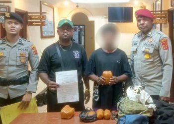 Modus Lakban Cokelat Gagal, Pemuda Bawa 1,04 Kg Ganja Tertangkap di Pelabuhan Jayapura