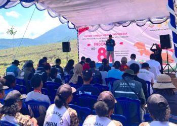 PLN UIP MPA Bersama Kementerian dan Masyarakat Hijaukan Papua