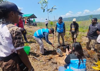 PLN UIP MPA Tanam Ratusan Pohon untuk Generasi Mendatang