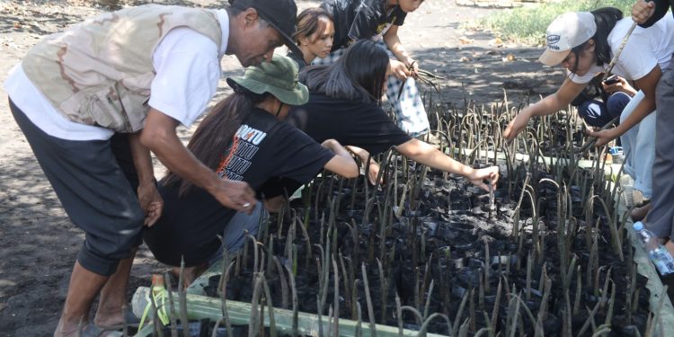 Langkah Nyata TJSL PLN UIP MPA, Jaga Ekosistem Pesisir dan Habitat Mamoa