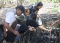 Langkah Nyata TJSL PLN UIP MPA, Jaga Ekosistem Pesisir dan Habitat Mamoa