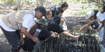 Langkah Nyata TJSL PLN UIP MPA, Jaga Ekosistem Pesisir dan Habitat Mamoa