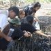 Langkah Nyata TJSL PLN UIP MPA, Jaga Ekosistem Pesisir dan Habitat Mamoa