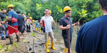 Astra Motor Papua Kolaborasi dengan Rumah Bakau Jayapura Lakukan Ini