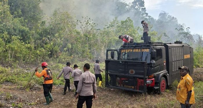 Kebakaran Hutan dan Lahan Terjadi di Dua Wilayah di Biak Numfor