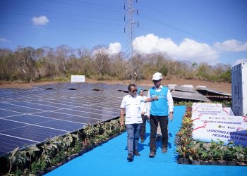 PLTS 100 GWp Ditargetkan Pangkas 140 Juta Ton Emisi per Tahun