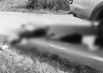 Polisi Kantongi Ciri-Ciri Pelaku Penembakan 3 ASN di Jayawijaya