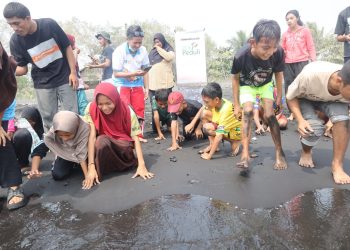 PLN UIP MPA dan UNIERA Rehabilitasi Ekosistem Pesisir Pantai Wauwo