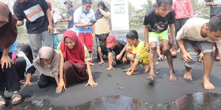 PLN UIP MPA dan UNIERA Rehabilitasi Ekosistem Pesisir Pantai Wauwo