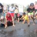 PLN UIP MPA dan UNIERA Rehabilitasi Ekosistem Pesisir Pantai Wauwo