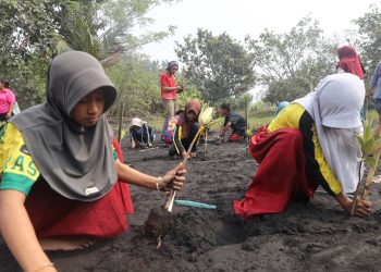 Jaga Ekosistem Pantai Wauwo, PLN UIP MPA dan UNIERA Libatkan Generasi Muda
