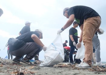 PLN dan Rumah Bakau Jayapura Kolaborasi Gaungkan Kepedulian Lingkungan