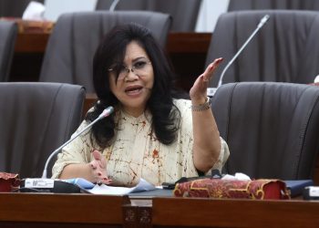 Kinerja Keuangan PLN Meningkat, Komisi VI DPR RI Beri Apresiasi