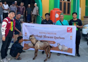 Wujud Berbagi, Astra Motor Papua Telah Serahkan 4 Ekor Hewan Kurban