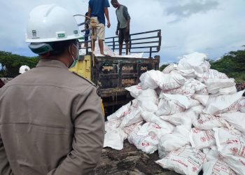 12 Ribu Kilogram Ayam Beku Dimusnahkan