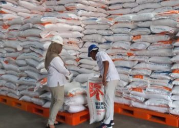 Produktivitas Berkurang, Penyerapan Beras Merauke Hanya 1.600 Ton