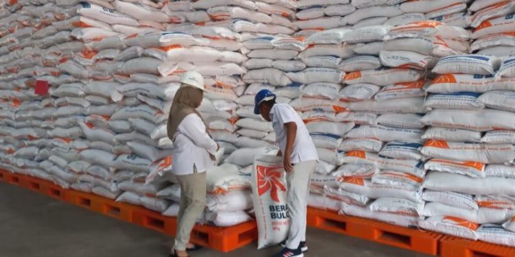 Produktivitas Berkurang, Penyerapan Beras Merauke Hanya 1.600 Ton