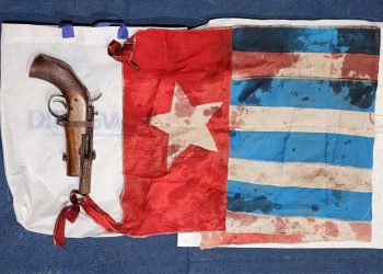 Catatan Kejahatan Gerombolan OPM Teranus Enumbi di Puncak Jaya