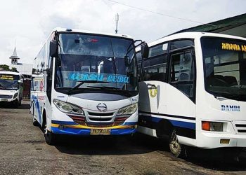 Damri Jayapura Ungkap Kendala dalam Pelayanan Angkutan Perintis