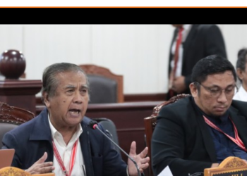 Ahli di Sidang MK : Tidak Berdampak pada Keterpilihan Cagub Papua