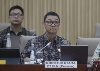 Komisi VI DPR RI Dukung Langkah PLN Jalankan Transisi Energi