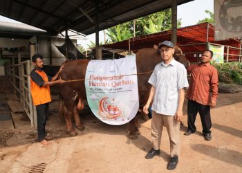 Lewat CDC, Telkom Group Serahkan 1.091 Hewan Kurban ke 7 Regional di Indonesia