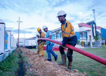 PLN Petakan Kerja Sama Dengan PNG Power