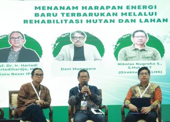 PLN Kembangkan Biomassa, Tekan Emisi Karbon