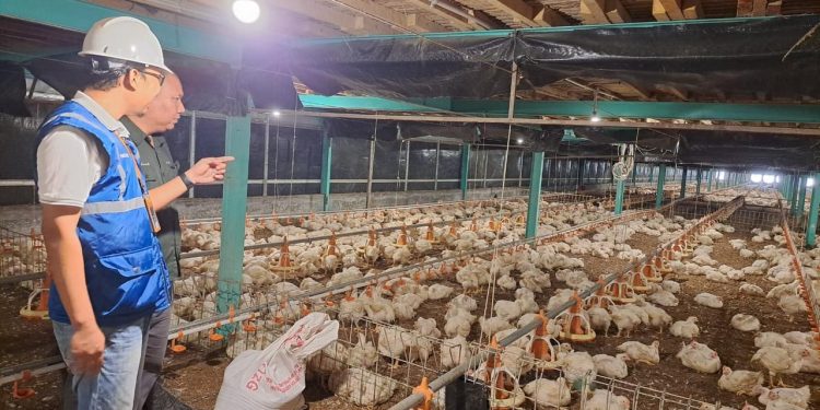 PLN Siap Jalankan Keputusan Pemerintah
