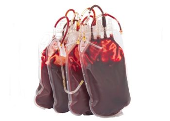 PMI Jayapura Salurkan 2.000 Kantong Darah Sepanjang 2024