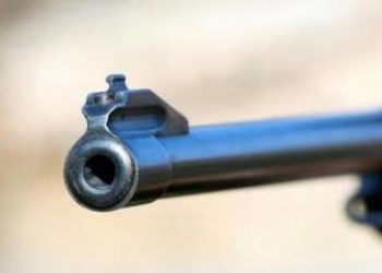 3 Warga Sipil Tewas Ditembak KKB di Nduga