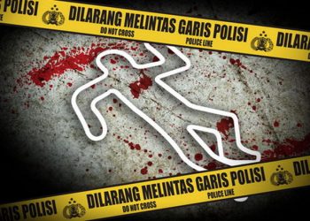 Pengemudi Mobil Starwagon Tewas Ditikam OTK usai Tabrak Pengendara Motor di Jayawijaya