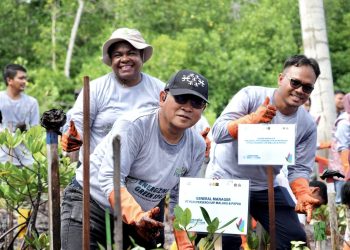 PLN Gelar Program Energizing Green Spaces di Jayapura