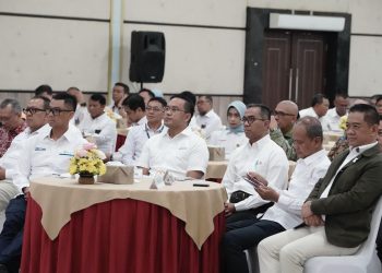 PLN – Pindad Sinergi Kembangkan Pembangkit Listrik Bersih Untuk Wilayah 3T