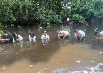 Peduli Lingkungan, Astra Motor Papua Tanam Bibit Bakau dan Bersihkan Pantai
