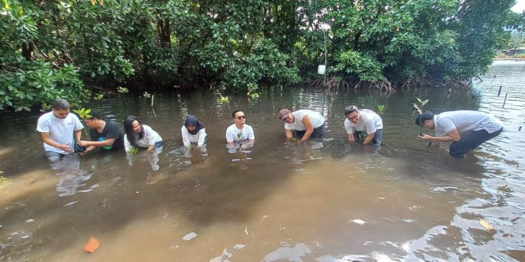 Peduli Lingkungan, Astra Motor Papua Tanam Bibit Bakau dan Bersihkan Pantai
