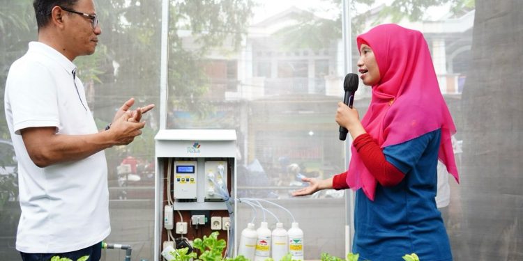 Kelompok Wanita Tani Binaan PLN Olah Penampungan Sampah Jadi Smart Farming