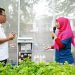 Kelompok Wanita Tani Binaan PLN Olah Penampungan Sampah Jadi Smart Farming